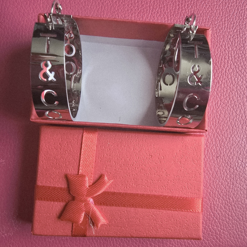 Tiffany Designs Silver Earrings